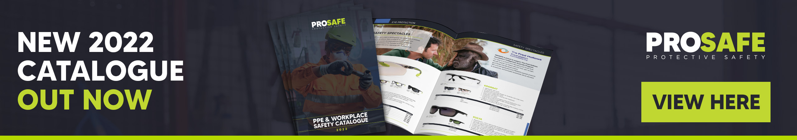 View PROSAFE Catalogue